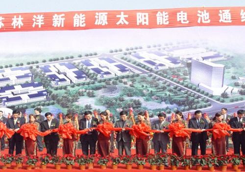 江蘇林洋新能源有限公司成立，10月，第一條太陽(yáng)能電池線投產(chǎn)運(yùn)行